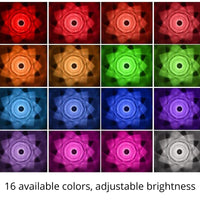 DiamondDazzle™ - 16 Colors Rose Rays Crystal Diamond Table Lamp 2