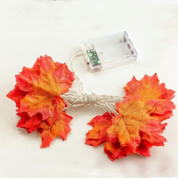 Fairy Lights - Autumn Decoration Lights | 50% OFF 5