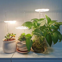 GrowGlow™ Mimics natural sunlight 3