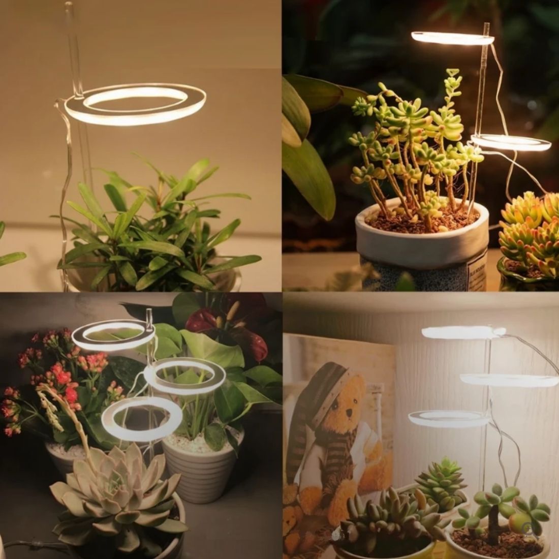 GrowGlow™ Mimics natural sunlight 6