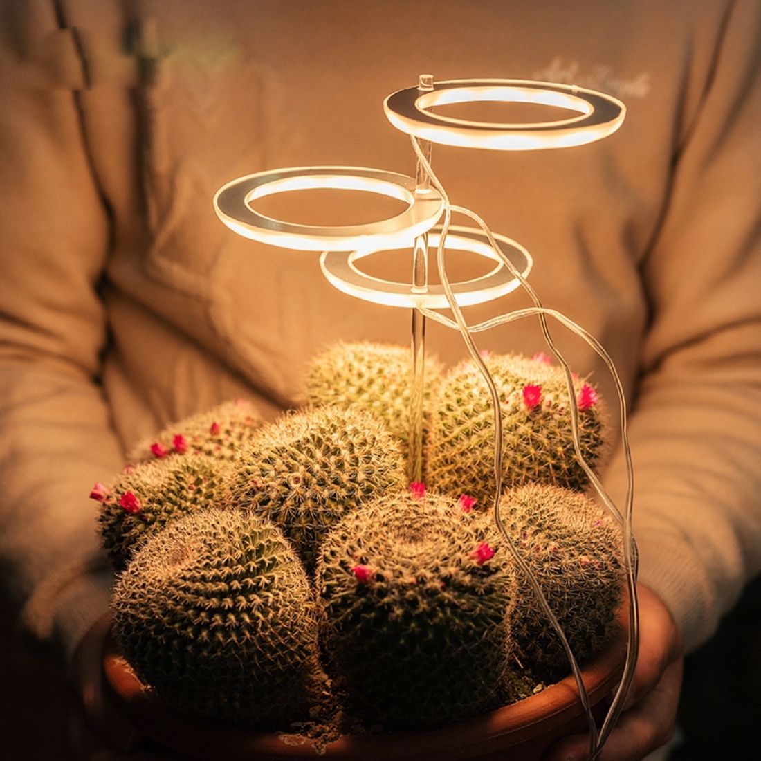 GrowGlow™ Mimics natural sunlight 7