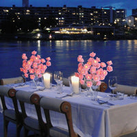 PetalGlow™ Creates a cozy ambience 1