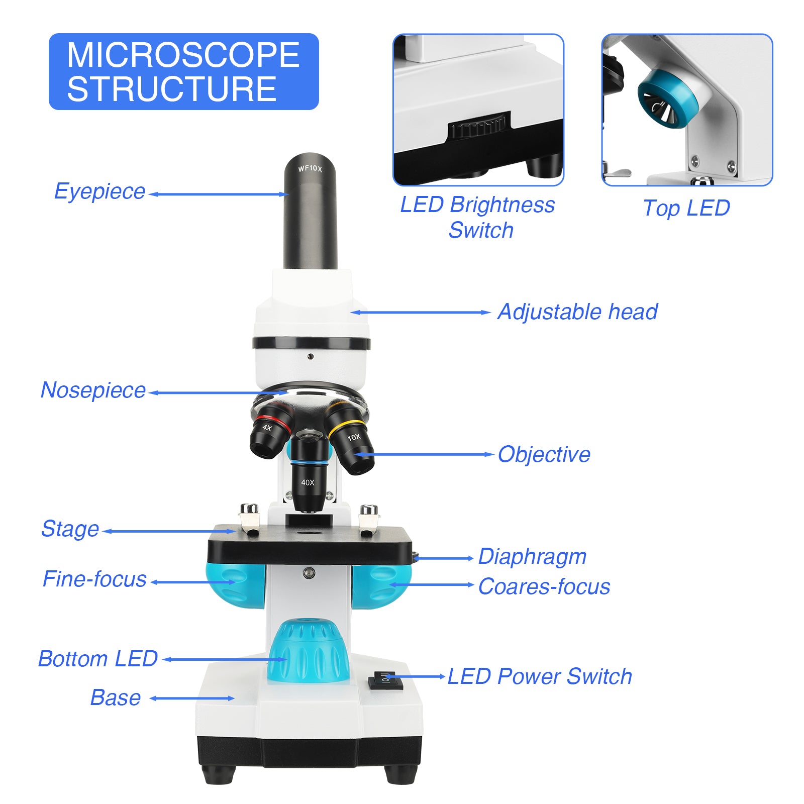Microscoop, professioneel biologisch, schoollaboratorium