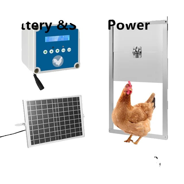 Automatische Kippenhok Deuropener, LCD Scherm Timer, Zonne Batterij Voeding