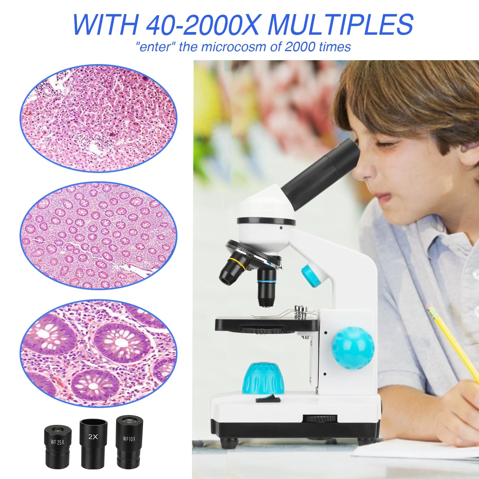 Biologische microscopen, 100X-2000X vergroting, telefoonadapter