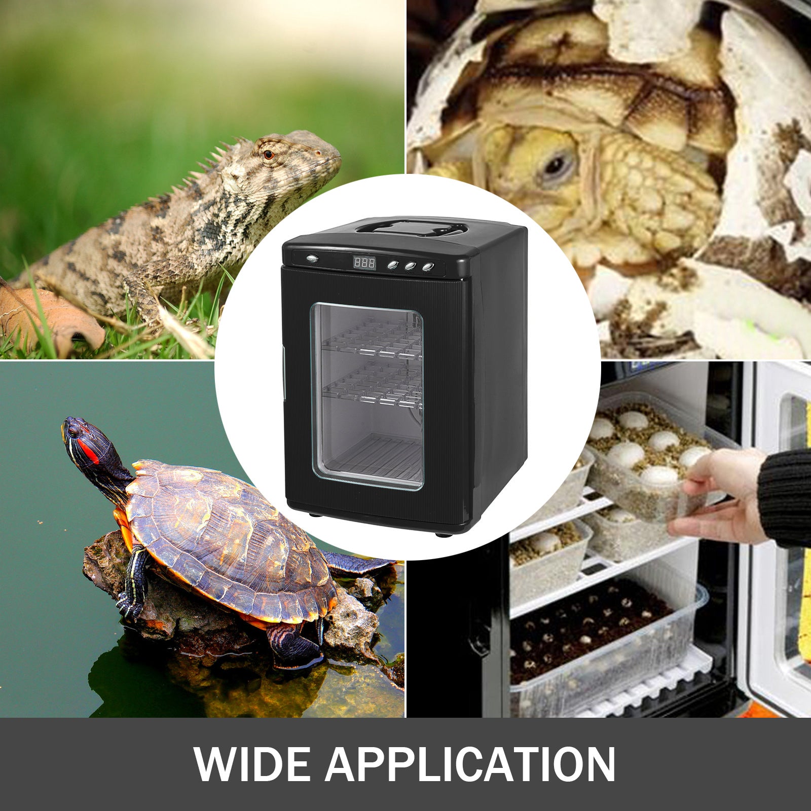 Reptielenbroedmachine, Digitale Temperatuurregeling, Breed Temperatuurbereik